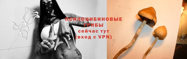 спайс Алексеевка