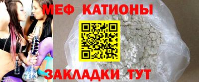 индика Гатчина