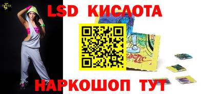 дмт Гай