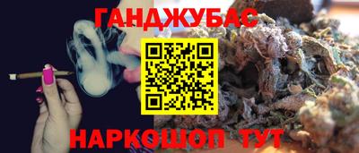 дмт Гай