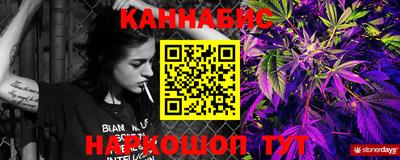 индика Гатчина