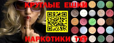 индика Гатчина