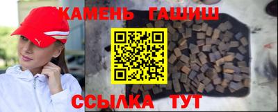 индика Гатчина